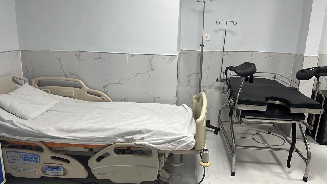 A large long-haired orange cat with a white belly. 